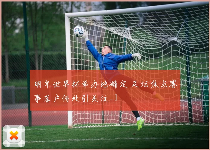 明年世界杯举办地确定 足坛焦点赛事落户何处引关注_1