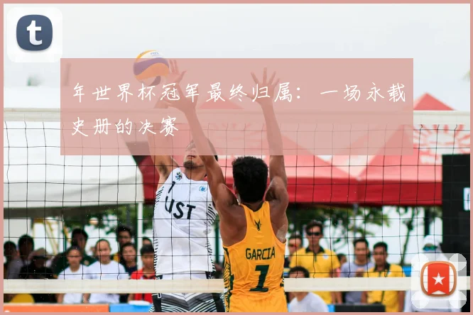 年世界杯冠军最终归属：一场永载史册的决赛