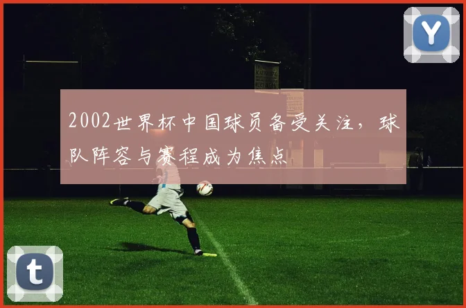 2002世界杯中国球员备受关注，球队阵容与赛程成为焦点