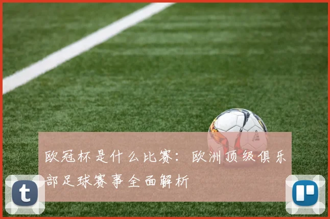 欧冠杯是什么比赛：欧洲顶级俱乐部足球赛事全面解析