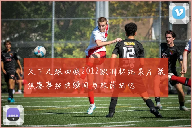 天下足球回顾2012欧洲杯纪录片 聚焦赛事经典瞬间与绿茵记忆