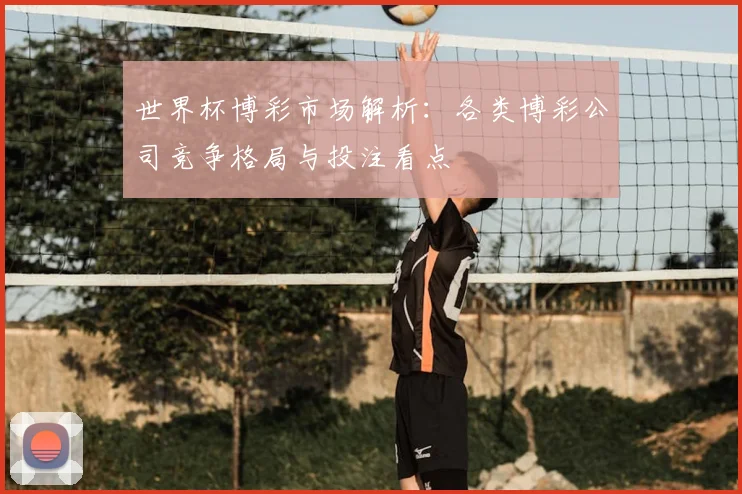 世界杯博彩市场解析:各类博彩公司竞争格局与投注看点