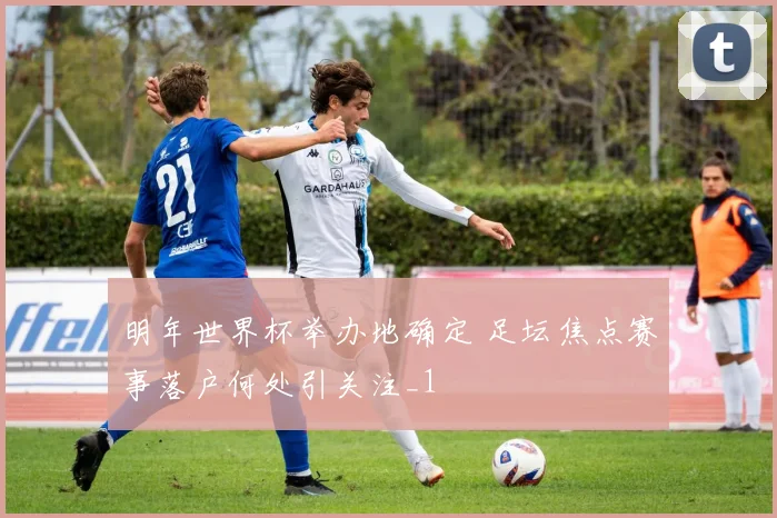 明年世界杯举办地确定 足坛焦点赛事落户何处引关注_1
