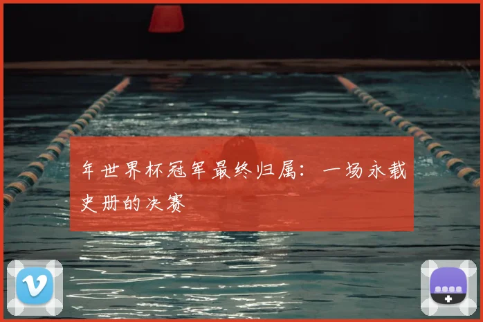 年世界杯冠军最终归属:一场永载史册的决赛