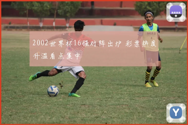 2002世界杯16强对阵出炉 彩票热度升温看点集中