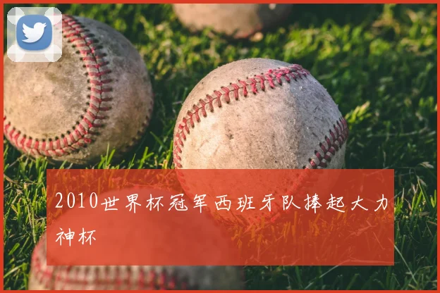 2010世界杯冠军西班牙队捧起大力神杯