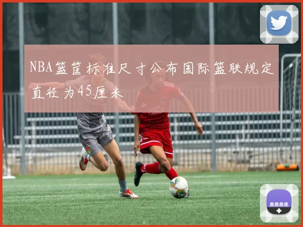 NBA篮筐标准尺寸公布国际篮联规定直径为45厘米