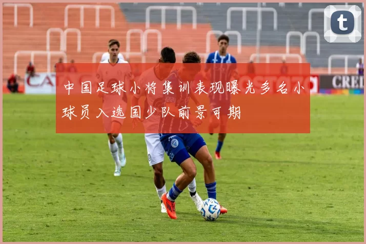 中国足球小将集训表现曝光多名小球员入选国少队前景可期