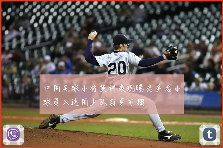 中国足球小将集训表现曝光多名小球员入选国少队前景可期